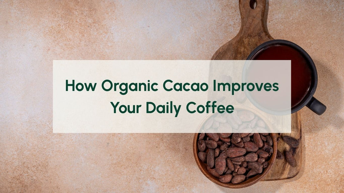 How Organic Cacao Improves Your Daily Coffee