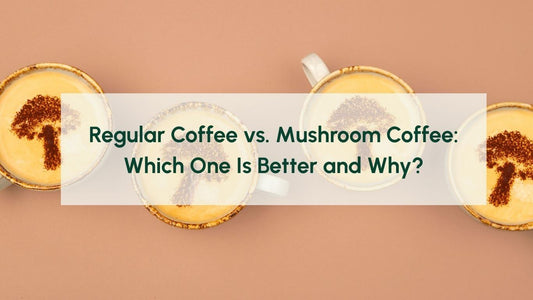Regular Coffee vs. Mushroom Coffee: Which Is Better and Why?