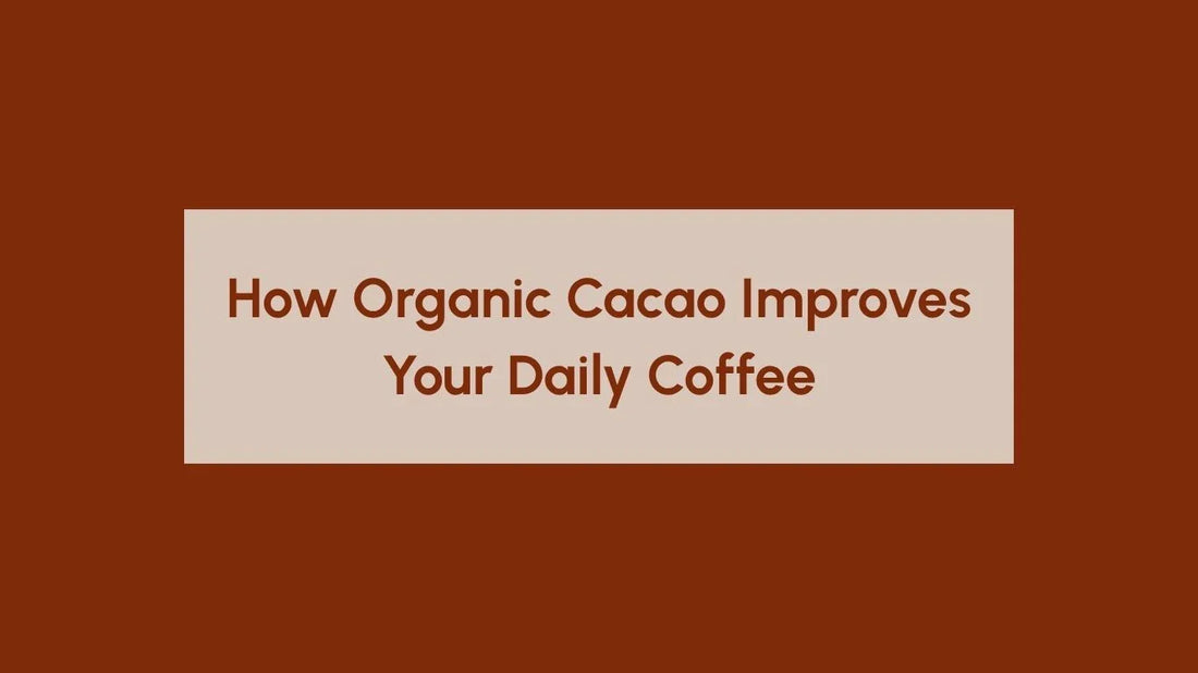 Organic Cacao Benefits - Blog Banner