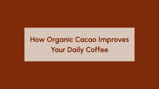 Organic Cacao Benefits - Blog Banner