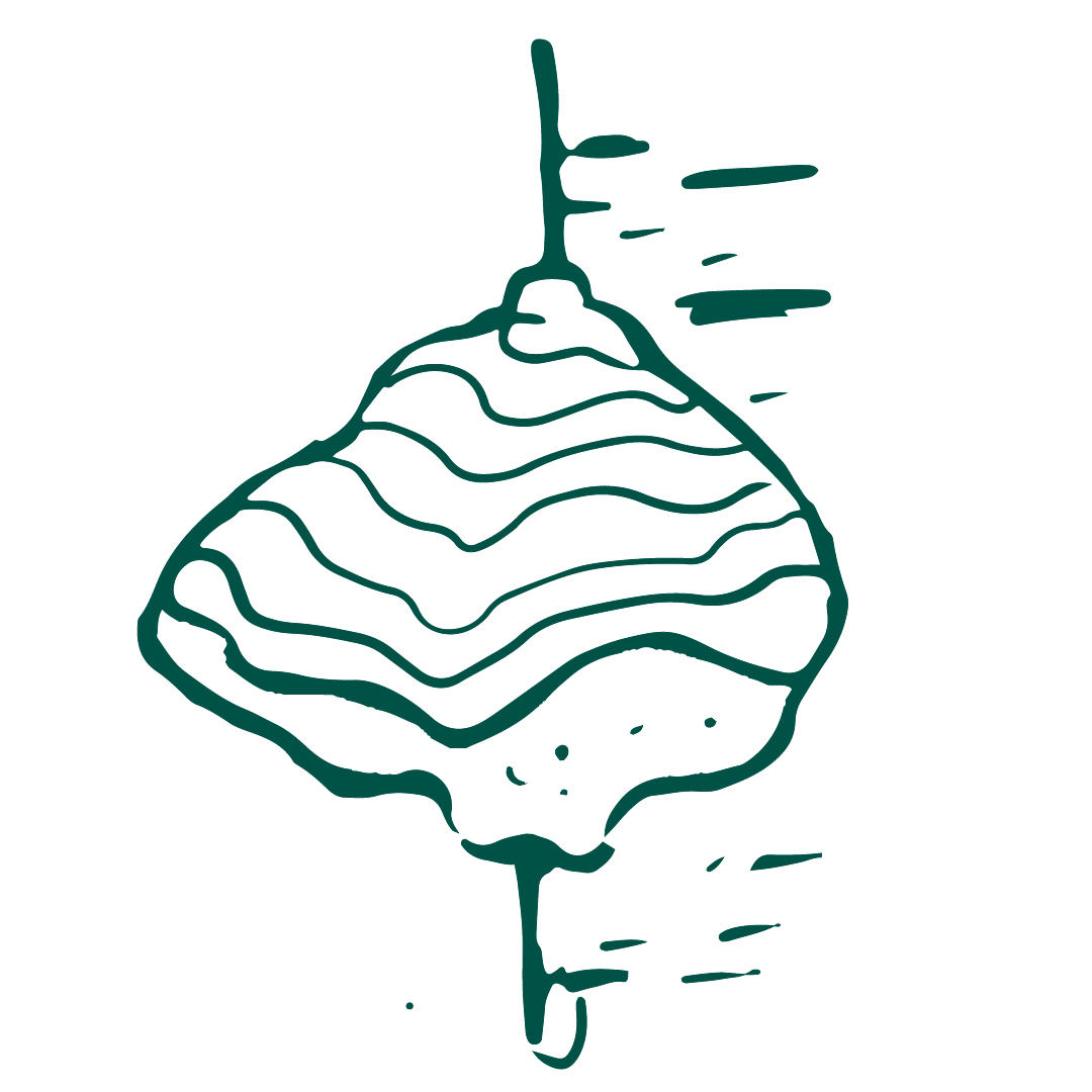 Chaga Mushroom Illustration