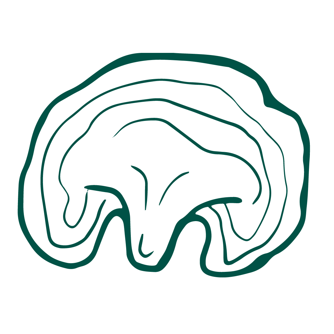 Reishi Mushroom Illustration