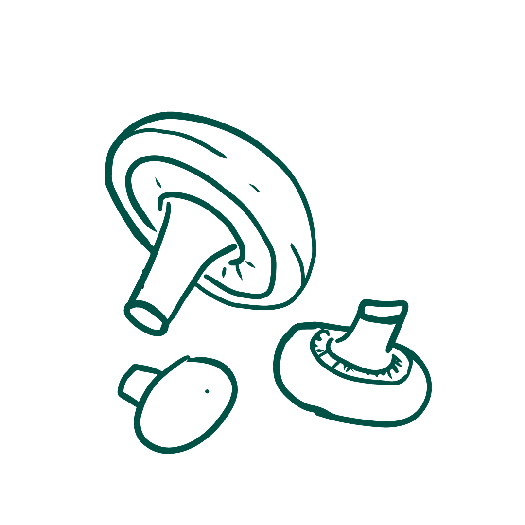 Shitake Mushroom Illustration